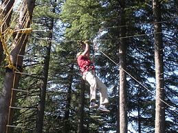Aamod Dalhousie