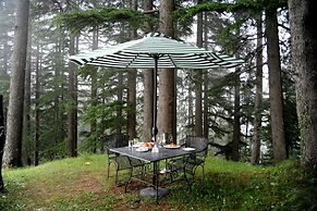 Aamod Dalhousie