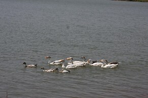 juSTa Lake Nahargarh Palace