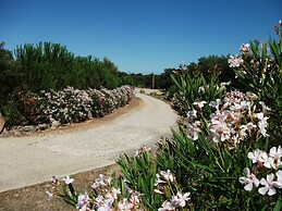 Rocce Bianche