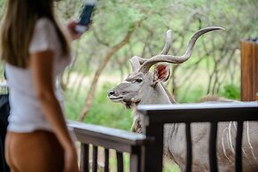 Needles Lodge
