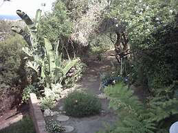 Dolphin View Guesthouse