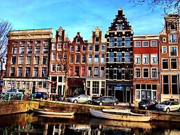 Tulip of Amsterdam