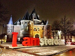 Tulip of Amsterdam