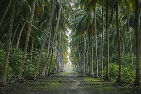 Reveries Maldives