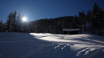 Hotel Alpin