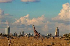 The Boma Nairobi