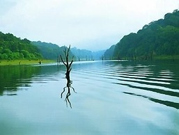 Punarjani Ayurvedic Resorts