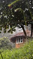 Punarjani Ayurvedic Resorts