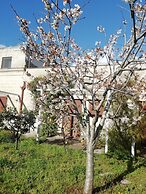 B&B Masseria 12 Granai