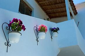 Camelia Studios