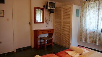 Camelia Studios