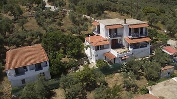 Camelia Studios
