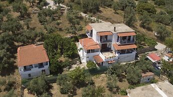 Camelia Studios