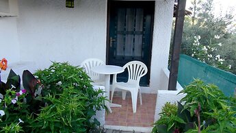 Camelia Studios