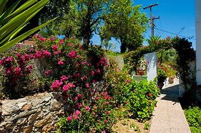 Camelia Studios
