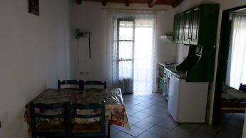 Camelia Studios