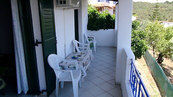 Camelia Studios