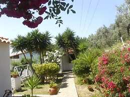 Camelia Studios