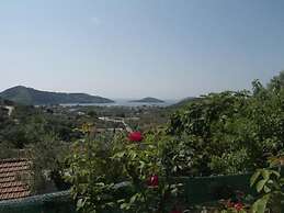 Camelia Studios