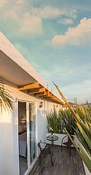 M Hoteles Concepto