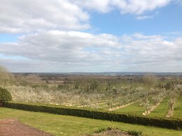 Shakespeare's View