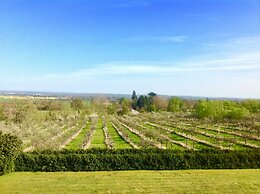Shakespeare's View