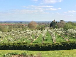 Shakespeare's View