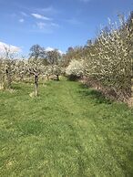 Shakespeare's View
