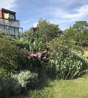 Shakespeare's View