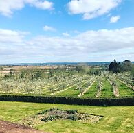 Shakespeare's View