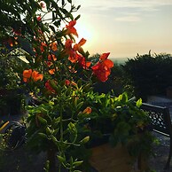 Shakespeare's View