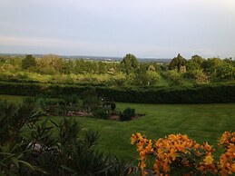 Shakespeare's View