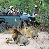 Leopard Hills