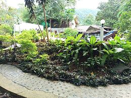 Faye Orchid Resort
