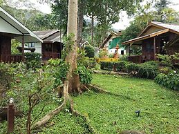 Faye Orchid Resort