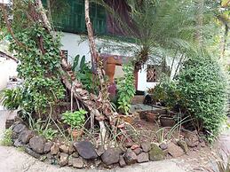 Faye Orchid Resort