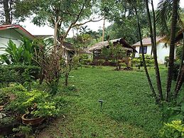 Faye Orchid Resort