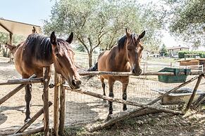 Agriturismo Goccia di Luna