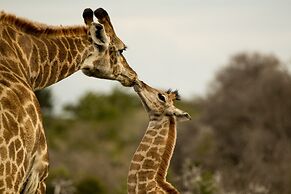 Sibuya Game Reserve