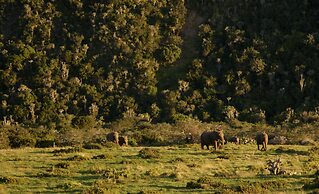 Sibuya Game Reserve