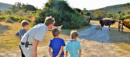 Sibuya Game Reserve