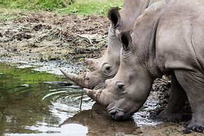 Sibuya Game Reserve