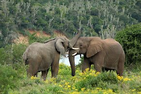 Sibuya Game Reserve
