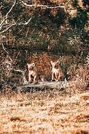 57 Waterberg Lodge
