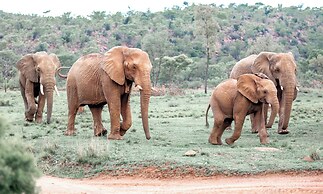 57 Waterberg Lodge