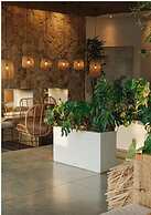 Hotel El Ganzo - Adults Only