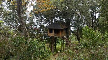 Nature Zone Jungle Resort