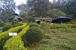 Nature Zone Jungle Resort