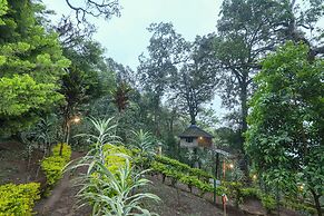 Nature Zone Jungle Resort